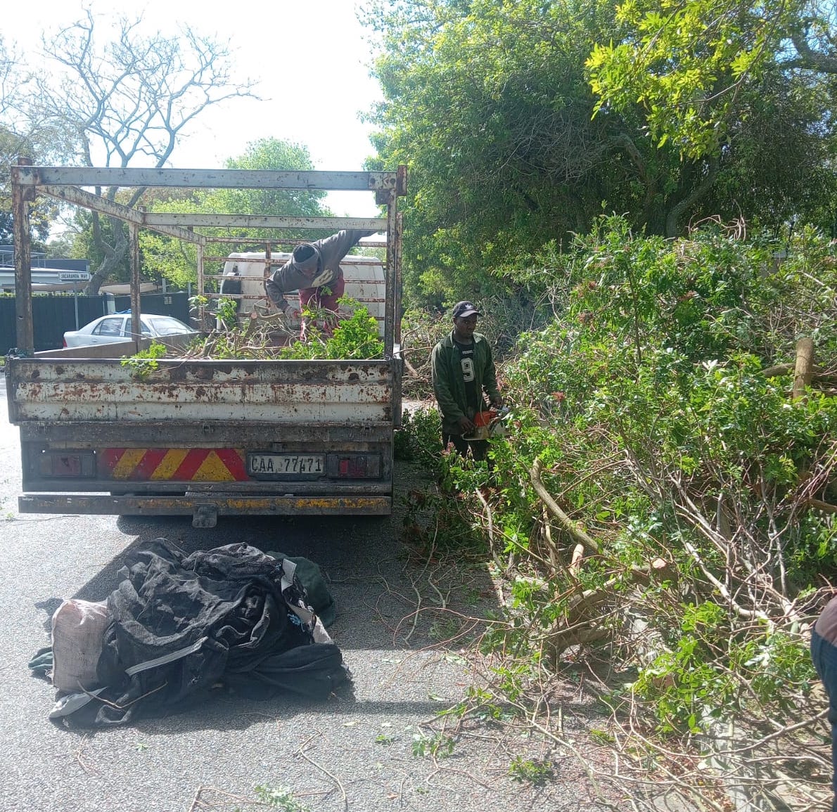 Garden waste and branches stacked for collection